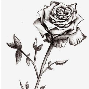 Meet your Posher, Carolina